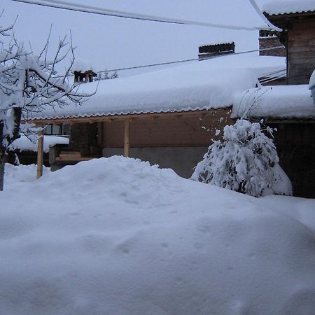 Guest House Bashtina Striaha 코프리브시티차 외부 사진
