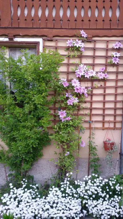 Guest House Bashtina Striaha 코프리브시티차 외부 사진